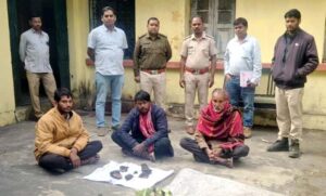 Raigarh News: भालू का शिकार करने वाले तीन शिकारी गिरफ्तार, तमनार वन परिक्षेत्र का मामला