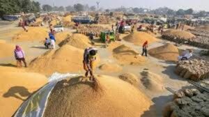 धान खरीदी का महाभियान: अब तक 93.12 लाख मैट्रिक टन धान की खरीदी