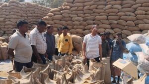 Raigarh News: समर्थन मूल्य पर धान खरीदी में रायगढ़ जिला अग्रसर, 4.18 लाख मीट्रिक टन से अधिक उपार्जन, 2.56 लाख मीट्रिक टन धान का सुरक्षित उठाव, 3.79 लाख मीट्रिक टन के लिए डीओ जारी