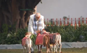आस्था, संस्कृति और प्रकृति का संगम…’ मकर संक्रांति पर पीएम मोदी की गौ-सेवा, तस्वीरों ने देश का दिल जीत लिया