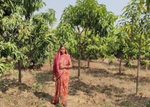 Raigarh: मनरेगा से बदली बंजर भूमि की तकदीर, तमनार में हरियाली बनी ग्रामीण आजीविका का सहारा
