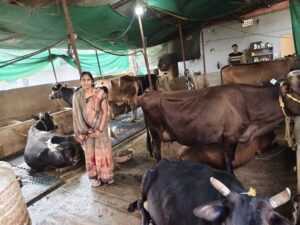 Raigarh News: सामान्य गृहणी से सफल डेयरी उद्यमी बनी ज्योत्सना पटेल, महिला सशक्तिकरण की मिसाल और समाज में बनी प्रेरणा