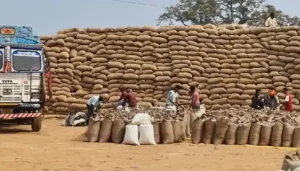 धान खरीदी में गड़बड़ी पर प्रशासन की सख्त कार्रवाई, डाटा एंट्री ऑपरेटर निलंबित, फड़ प्रभारी कार्य से पृथक