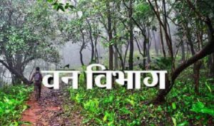 CG News: सड़क पार कर रहे भालू को तेज रफ्तार वाहन ने मारी टक्कर, मौके पर ही मौत, कार्रवाई में जुटी वन विभाग की टीम