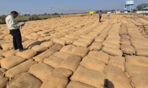 CG: धान खरीदी में लापरवाही पर सख्ती: भौतिक सत्यापन में 124 क्विंटल धान कम मिलने पर खरीदी प्रभारी पर FIR