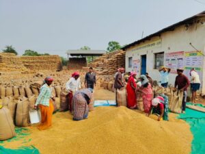 Raigarh News: धान खरीदी जोरों पर, अब तक 2.67 लाख मीट्रिक टन की खरीदी, 1.42 लाख मीट्रिक टन धान का उठाव पूर्ण, 43,714 किसानों ने बेचा धान