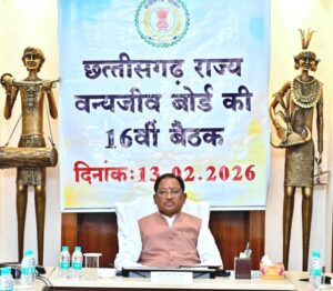 वन्यजीवों के प्राकृतिक आवास की सुरक्षा और सह-अस्तित्व के सिद्धांतों के अनुरूप हो सभी गतिविधियों का संचालन : मुख्यमंत्री विष्णुदेव  साय