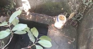 CG News: दो साल के मासूम का गोबर गैस टैंक में मिला शव, परिजनों का रो-रोकर बुराहाल