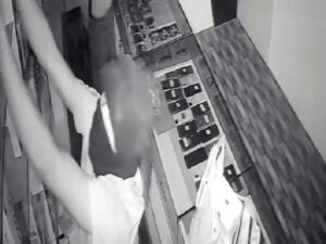  Raigarh News: मोबाइल दुकान में चोरी का सीसीटीवी, नकाबपोश चोरों ने मोबाइल-कैश किया पार, CCTV फूटेज आया सामने 