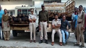 CG News: ग्राम हिरानार में वन विभाग की बड़ी कार्रवाई, दो घरों से 100 नग अवैध लकड़ी जब्त की