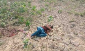 Sarangarh News: करंट की चपेट में आकर युवक की मौत, अवैध शिकार के लिये लगाये करंट में फंसा मृतक