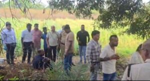 Raigarh News: तमनार में अवैध अफीम की खेती का भंडाफोड़, मुख्य आरोपी हिरासत में, कड़ी पूछताछ जारी