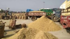 CG: धान में रेत मिलाकर हेराफेरी करने वाला खरीदी केन्द्र प्रभारी बर्खास्त