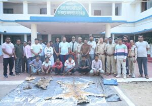 CG NEWS: बाघ और तेंदुए के शिकार में शामिल डिप्टी रेंजर सहित 9 आरोपी गिरफ्तार, वन विभाग की बड़ी कार्रवाई