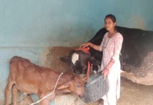 Raigarh: मेडिकल लैब से माटी तक, आरती ने पशुधन से लिखी सफलता की नई कहानी, अच्छी नौकरी छोड़ गांव में रचा आत्मनिर्भरता का मॉडल