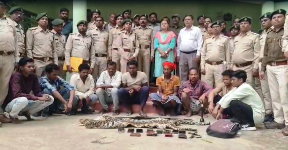 CG News: तेंदुए की खाल की तस्करी पर वन विभाग की बड़ी कार्रवाई, 9 आरोपी गिरफ्तार