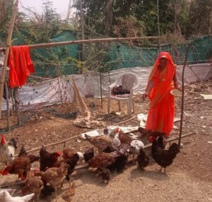 Raigarh News: बिहान योजना से बदली कुमुद बाई की जिंदगी, मुर्गीपालन और गौपालन से बनी आत्मनिर्भर