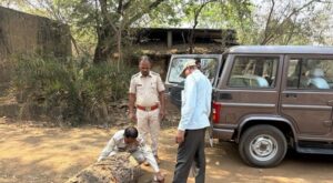 Raigarh News: वन विभाग की बड़ी कार्रवाई, कुसमुरा के उमाशंकर सॉ मिल को किया गया सील
