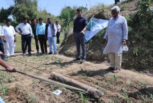 Raigarh News: डीएमएफ मद से लैलूंगा क्षेत्र में रागी की खेती को दिया जा रहा बढ़ावा, कलेक्टर ने किया निरीक्षण