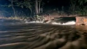 रायगढ़: कुछ ही सेकंड में टूटा गेट… और हाईवे बन गया दरिया! – NH-49 पर अचानक आई जलप्रलय से हड़कंप