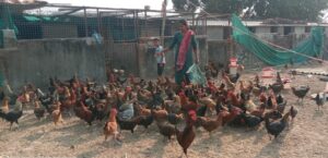 Raigarh News: सुदूर वनांचल की रजनी बनीं आत्मनिर्भर, एक लाख के ऋण से शुरू किया मुर्गा फार्म, बढ़ी आमदनी और बदली जिंदगी