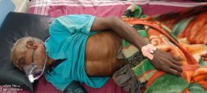 Raigarh News: हाथी के हमले में बुजुर्ग घायल, ग्रामीणों में दहशत का माहौल, इलाके में हाथियों का दल कर रहा विचरण 