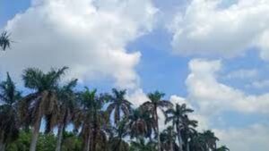 CG: होली के बाद बढ़ी गर्मी, छत्तीसगढ़ में अगले सात दिन तक तापमान में खास बदलाव नहीं