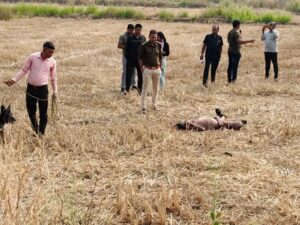 Raigarh News: खेत में मिला युवक का शव, हत्या का मामला दर्ज, जांच में जुटी पुलिस, खरसिया थाना क्षेत्र का मामला