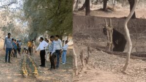 CG News: गांव के कुएं में गिरे भालू का सफल रेस्क्यू, सीढ़ी के सहारे जंगल लौटा