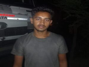 CG; तेज रफ्तार हाइवा ने 12 गोवंशों को कुचला, हुई मौत, चालक के खिलाफ मामला दर्ज