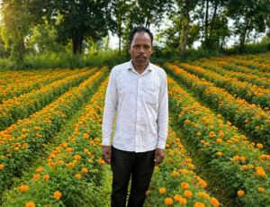 Raigarh News: फूलों की खुशबू से महकी किस्मतः एनएचएम योजना से किसान की आमदनी में बड़ा इजाफा, परंपरागत खेती छोड़ फूलों की खेती अपनाई, कम लागत में मिला ज्यादा मुनाफा