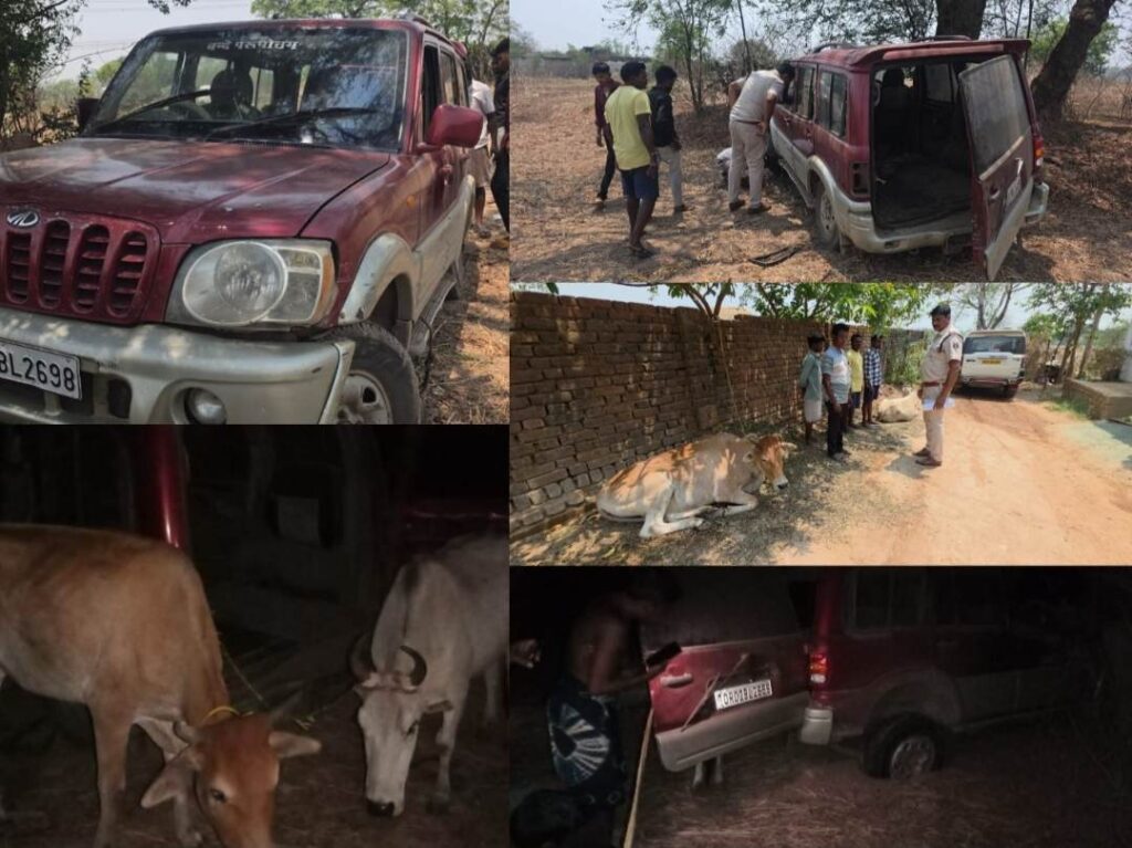 Raigarh News: “ऑपरेशन शंखनाद” में भूपदेवपुर पुलिस की बड़ी सफलता — गौवंश तस्करी की कोशिश नाकाम, तस्कर स्कार्पियो वाहन छोड़ फरार