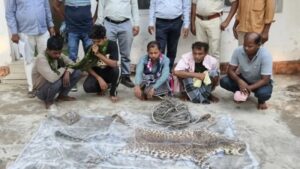 CG: तेंदुए को फंदे में फंसा कुल्हाड़ी से सिर पर वारकर जिंदा मार डाला, मांस को खा गए, खाल बेचने की फिराक में थे, पांच गिरफ्तार
