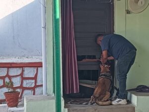 CG News: रिटायर्ड एएसआई के घर पर हो गई चोरी, बेटे की लेकर गए हुए थे बारात, इधर चोरों ने किया घर पर हाथ साफ
