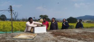 मधुमक्खी पालन: कम लागत में ज्यादा मुनाफे का बेहतर विकल्प, राष्ट्रीय बागवानी मिशन से किसानों को मिल रहा प्रोत्साहन, बढ़ रही आय और रोजगार के अवसर