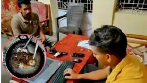 जिस विभाग का मुखिया आईएफएस, वहां के रिसोर्ट में हिरण का गोश !, पर्यटन के प्रमोशन का नायाब तरीका