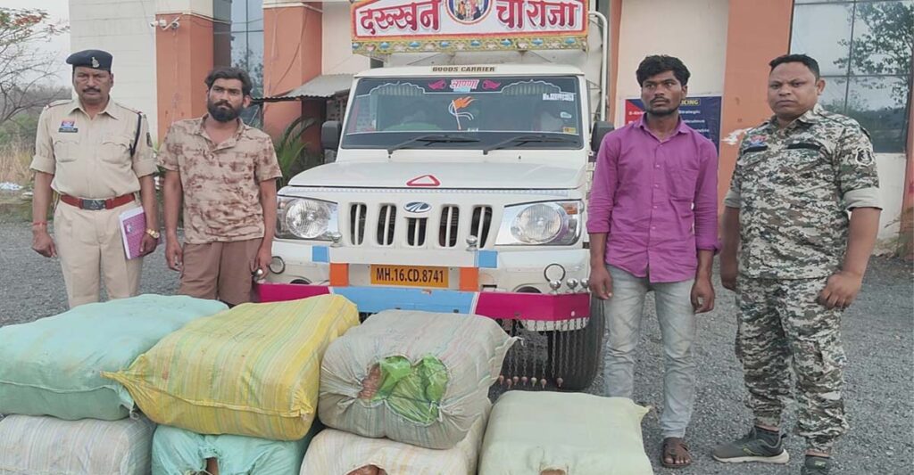CG News: 1.14 करोड़ का गांजा जब्त, 2 अंतरराज्यीय तस्कर गिरफ्तार, महासमुंद पुलिस की बड़ी कार्रवाई