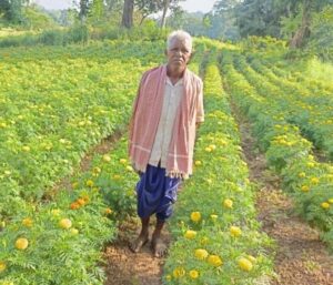 Raigarh News: गेंदा की खेती से बदली किसान आनंदराम की तकदीर, आधुनिक तकनीक और मेहनत से मिला शानदार उत्पादन