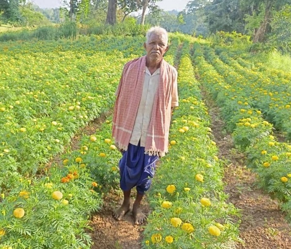 Raigarh News: गेंदा की खेती से बदली किसान आनंदराम की तकदीर, आधुनिक तकनीक और मेहनत से मिला शानदार उत्पादन