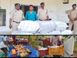 Jashpur News: 1 करोड़ 13 लाख का गांजा जब्त, आम की खेप के नीचे छिपाकर हो रही थी तस्करी, ऑपरेशन आघात’ में जशपुर पुलिस की स्ट्राइक, एक आरोपी गिरफ्तार