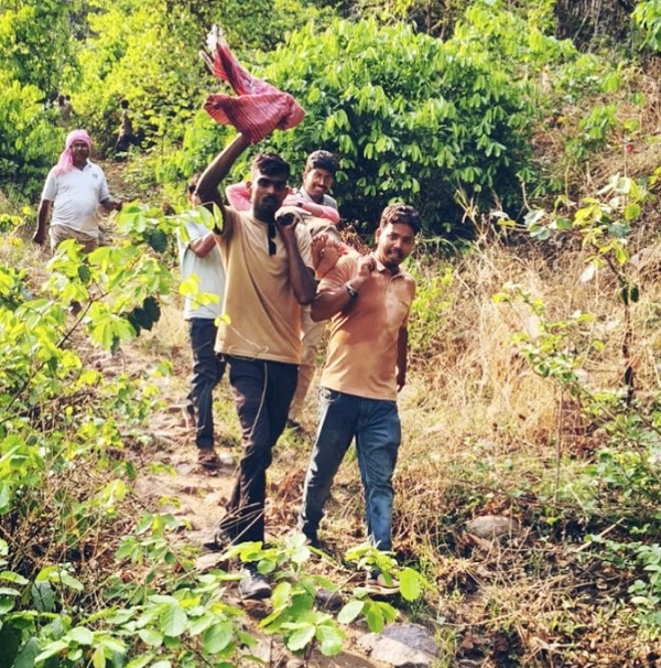 Raigarh News:  सिंघनपुर गुफा में वैज्ञानिकों पर मधुमक्खियों का हमला, चार गंभीर रूप से घायल