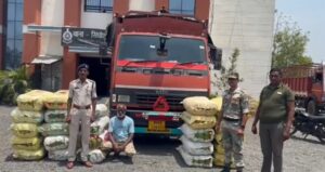 ओडिशा से महाराष्ट्र जा रही 3 करोड़ की गांजे की खेप, महासमुंद बॉर्डर पर तस्कर गिरफ्तार 