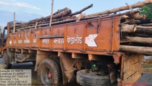 CG News: गौरेला क्षेत्र में सागौन की अवैध कटाई पर वन विभाग की बड़ी कार्रवाई, संयुक्त दल द्वारा निरंतर निगरानी जारी