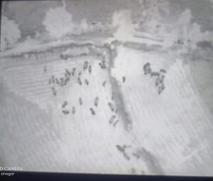  Raigarh News:  हाथियों का बड़ा दल, ड्रोन कैमरे में कैद, वन विभाग अलर्ट, ग्रामीणों में दहशत
