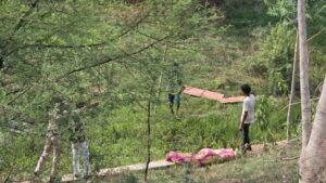 CG News: प्रेमी संग में पत्नि ने पति को उतारा मौत के घाट, महिला गिरफ्तार, अन्य की तलाश जारी