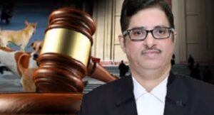 कुत्ता काटने पर मौत में मुआवजा क्यों नहीं? बेटे के जाने के गम में डूबा पिता पहुंचा हाई कोर्ट तो जस्टिस ने चीफ सिकरेट्री से मांगा हलफनामा