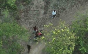 Raigarh News: रील बनाने के चक्कर में गजराजों के करीब पहुंचे युवक, वन विभाग की सतर्क निगरानी से टला बड़ा हादसा, ड्रोन फुटेज में कैद हुई पूरी घटना, पहचान होते ही मौके से भागे