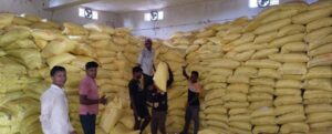 Raigarh: जिले में उर्वरकों की पर्याप्त उपलब्धता, यूरिया की कोई कमी नहीं, समितियों में 85 प्रतिशत से अधिक भंडारण