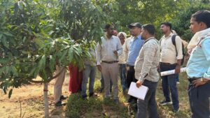 Raigarh: धरमजयगढ़ में आम और मिश्रित बागवानी बनी ग्रामीण समृद्धि की नई पहचान, मनरेगा और अजीम प्रेमजी फाउंडेशन के सहयोग से 24 पंचायतों में हरियाली के साथ बढ़ी किसानों की आमदनी