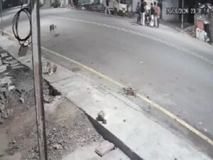 CG: पिकअप से 2 युवकों कुचलने की कोशिश, गाड़ी से उतरते ही पाइप और डंडे से दौड़ा-दौड़ाकर पीटा